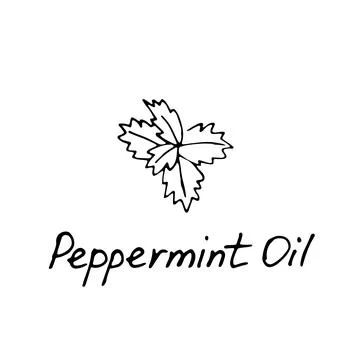 Mint green vector illustration. Hand drawn peppermint logo. Peppermint oil Stock Illustration