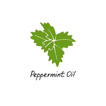 Mint green vector illustration. Hand drawn peppermint logo. Peppermint oil for Stock Illustration