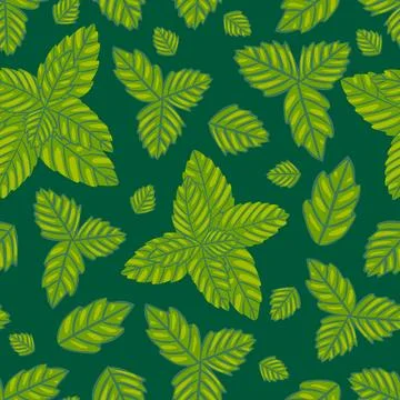 Mint herb vector repeat pattern design Stock Illustration