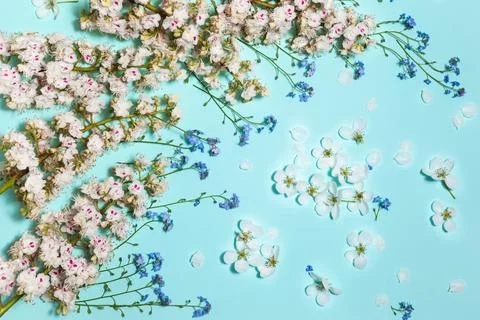 Mint horizontal background with spring flowers Stock Photos
