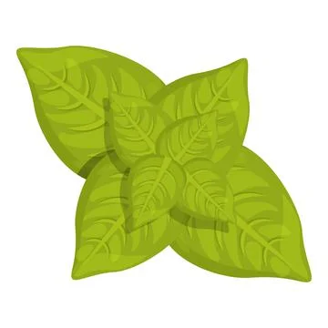 Mint icon cartoon vector. Leaf herb Stock Illustration
