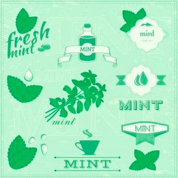 Mint Stock Illustration