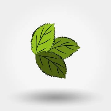 Mint. Stock Illustration