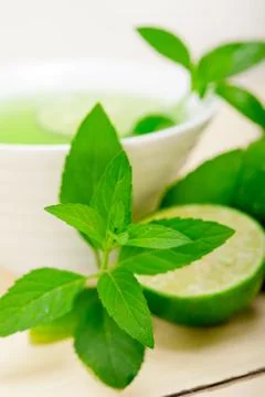 Mint infusion tea tisane with lime Stock Photos