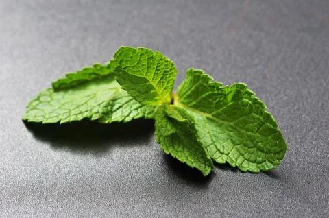 Mint leaf on black background Foto stock