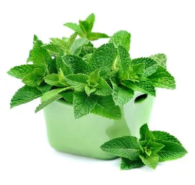 Mint leaf close up Foto stock
