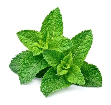 Mint leaf close up Foto stock