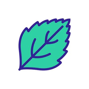 Mint leaf close-up view icon vector outline illustration Stock Illustration