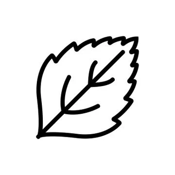 Mint leaf close-up view icon vector outline illustration Illustrazione stock