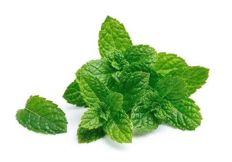 Mint leaf closeup. Stock Photos
