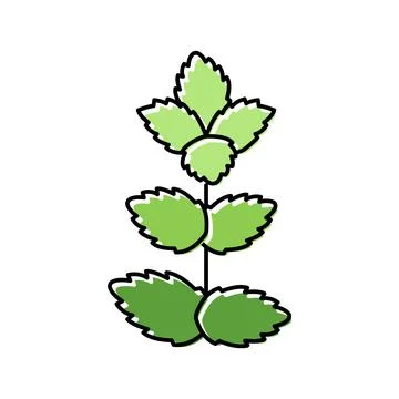 Mint leaf color icon vector illustration Illustrazione stock