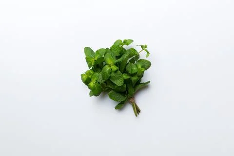 Mint leaf. Fresh mint on Colored background. Mint leaves isolated Top view wi Stock Photos