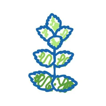 Mint leaf icon doodle illustration Stock Illustration