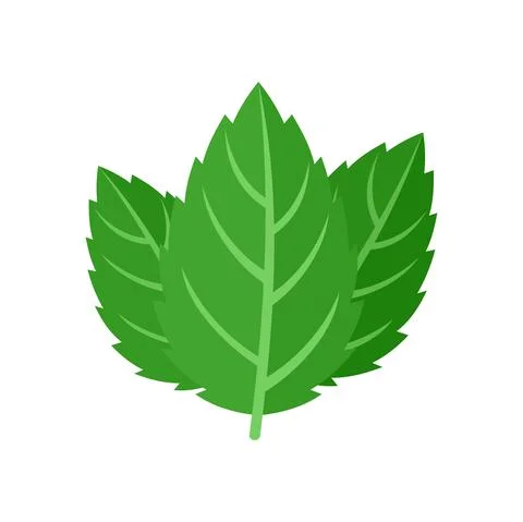 Mint leaf icon flat isolated vector Illustrazione stock