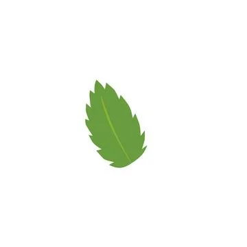 Mint leaf icon, natural fragrant fresh green peppermint, melissa, herbal tea Stock Illustration