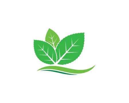 Mint leaf illustration vector template Illustrazione stock