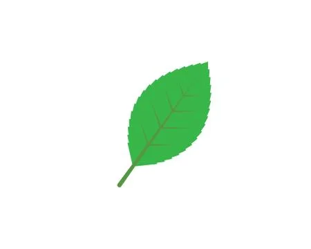 Mint leaf illustration vector template Stock Illustration