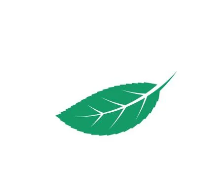 Mint leaf illustration vector template Stock Illustration
