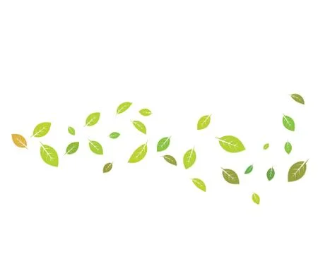 Mint leaf illustration vector template Stock Illustration