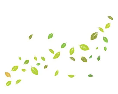 Mint leaf illustration vector template Stock Illustration