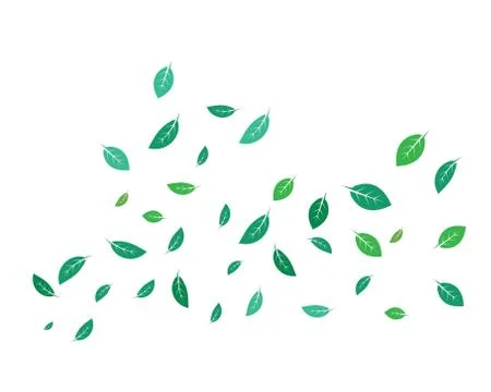 Mint leaf illustration vector template Stock Illustration