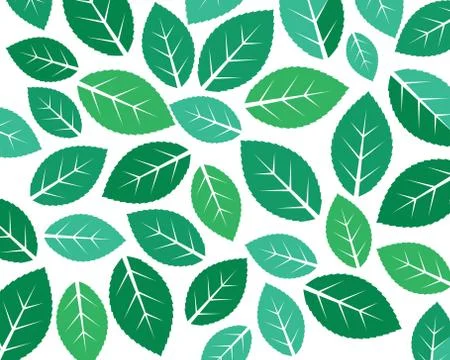 Mint leaf illustration vector template Stock Illustration