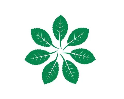 Mint leaf illustration vector template Stock Illustration