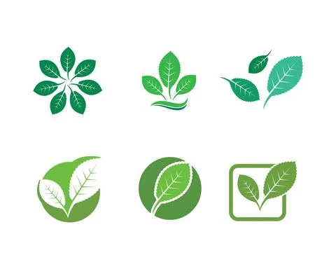 Mint leaf illustration vector template Stock Illustration