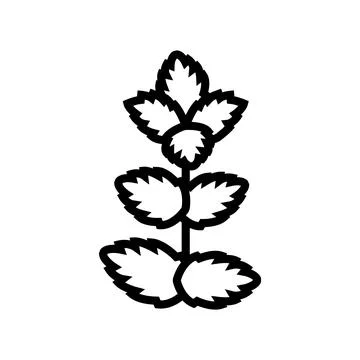 Mint leaf line icon vector illustration Illustrazione stock
