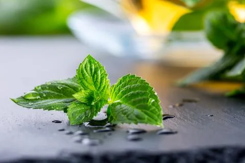 Mint leaf. Mint leaves. Tea. Mint Tea. Herbal tea. Tea in a glass cup, mint.. Stock Photos