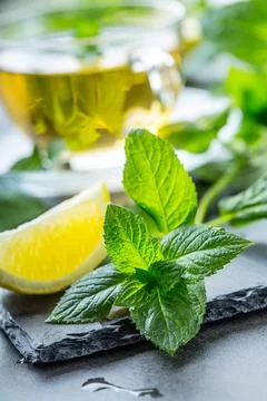 Mint leaf. Mint leaves. Tea. Mint Tea. Herbal tea. Tea in a glass cup, mint.. Stock Photos