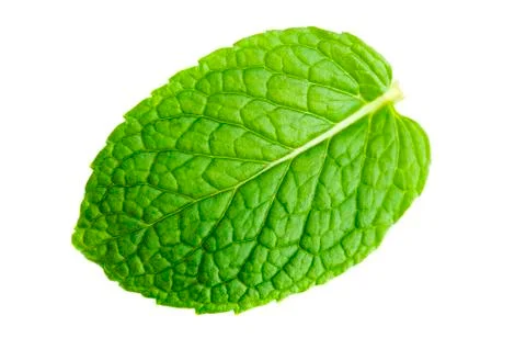 Mint leaf Stock Photos