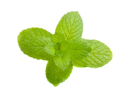 Mint leaf Stock Photos