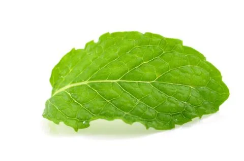 Mint leaf Stock Photos