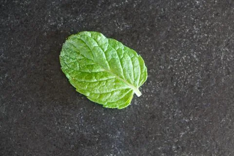 Mint leaf Stock Photos