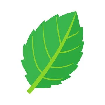 Mint leaf plant icon flat isolated Stock Illustration