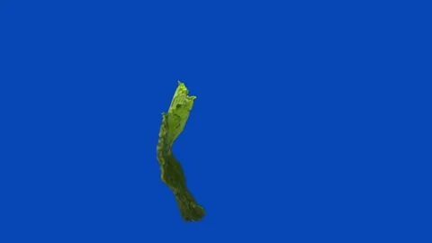 The mint leaf rolling on blue chromakey background Stock Footage 134869217
