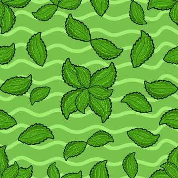 Mint Leaf Seamless Pattern in Cartoon Style. Perfect For Background, Backdr.. Stock Illustration