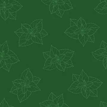 Mint Leaf Seamless Pattern on Dark Green Background. Botanical Line Art Pep.. Stock Illustration