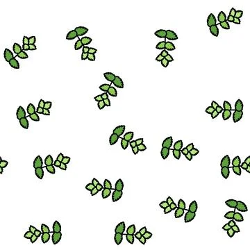 Mint leaf vector seamless pattern Stock Illustration