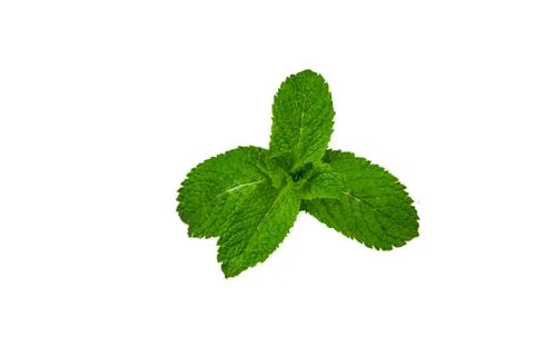 Mint leaf on white background with ice Foto stock