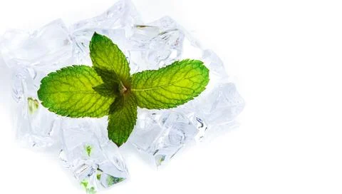 Mint leaf on white background with ice Stock Photos