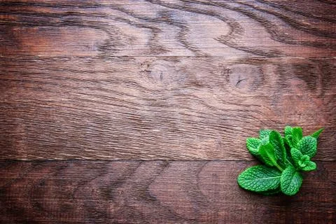 Mint leaf on a wooden background Stock Photos