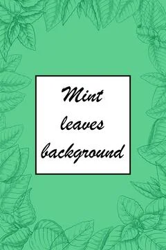 Mint leaves background. Green peppermint. Melissa plant. Aromatic herb. Spicy Stock Illustration
