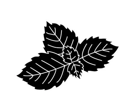 Mint leaves - black vector silhouette for pictogram or logo. Peppermint sprig Illustrazione stock