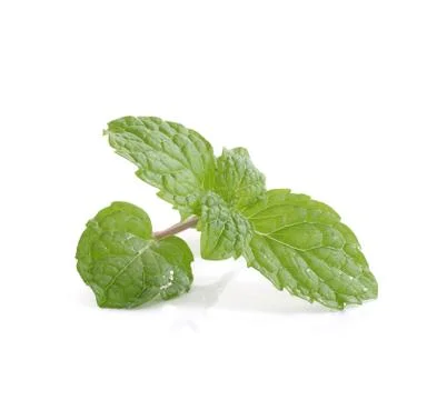 Mint leaves close up on background Foto stock