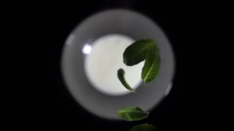 Mint leaves fall into a bowl 스톡 동영상 64544572