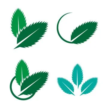 Mint leaves flat vector color icon template isolated Stock Illustration