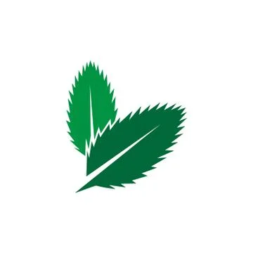 Mint leaves flat vector color icon template isolated Stock Illustration