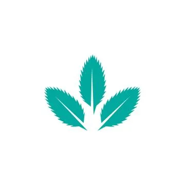 Mint leaves flat vector color icon template isolated Stock Illustration